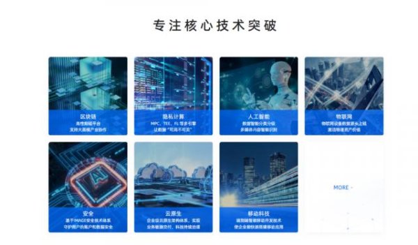 中国股票配资公司排名 拥抱区块链！蚂蚁集团将80亿美元能源资产“上链”