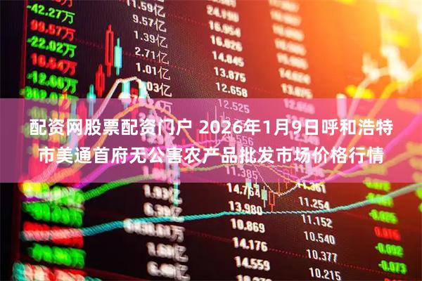 配资网股票配资门户 2026年1月9日呼和浩特市美通首府无公害农产品批发市场价格行情
